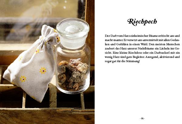 Produktbild Das kleine Buch: Harz- und Pechsalben (Deutsch, Karin Buchart, 2023)