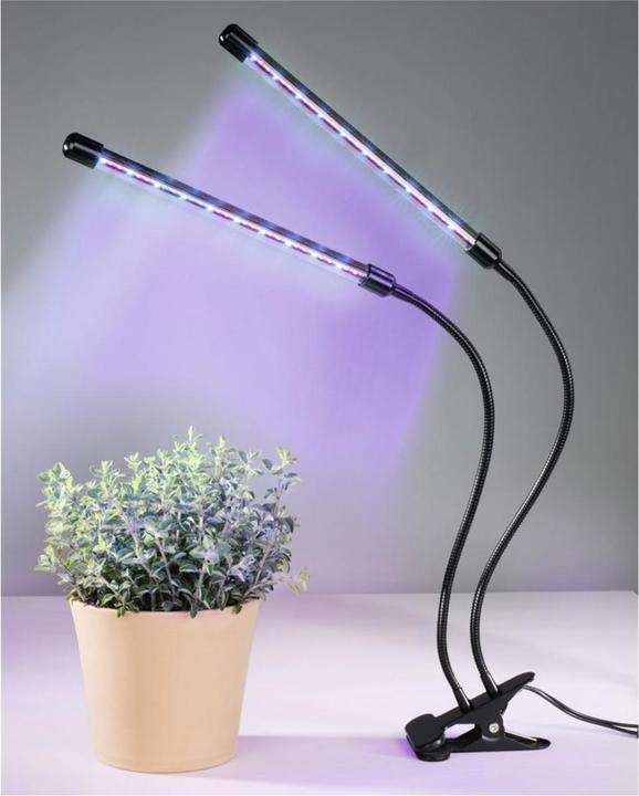 Actual product image Xavax Stick (LED, 5 V)