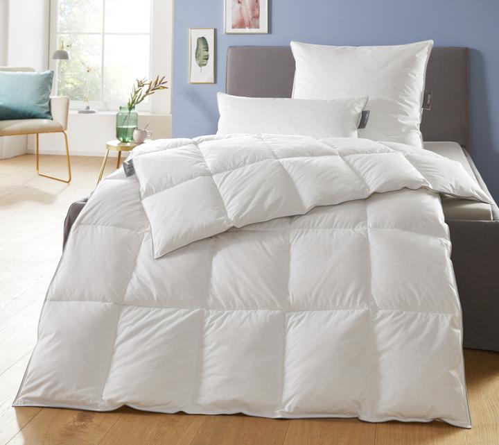 Produktbild Badenia Trendline Feder-Daunendecke Trendline Princess medium (890 g, 155 x 220 cm)