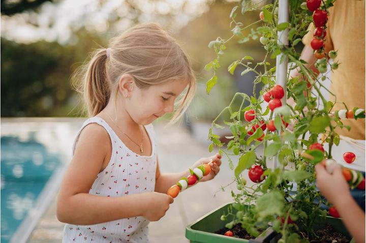 Produktbild Gusta Garden Tom Tomato (35 cm)