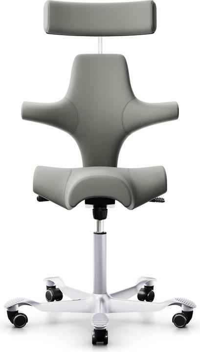 HAG Capisco 8107