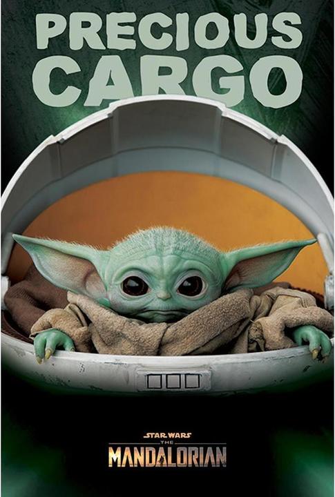 Image du produit Star Wars : The Mandalorian Poster Precious Cargo (61 x 91 cm)