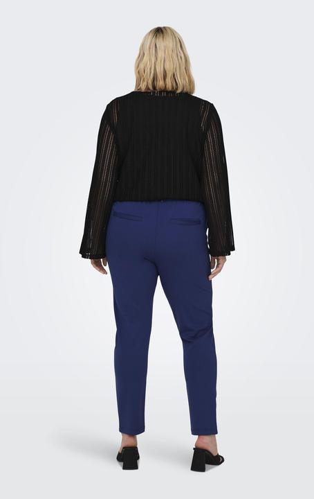 Produktbild Only Curvy einfarbige Hose (54)