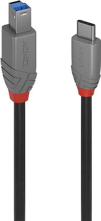 Actual product image Lindy USB 3.2 Type C to B Cable, Anthra Line (3 m, USB 3.2 Gen 1)
