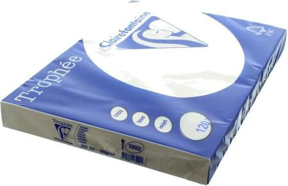 Actual product image Clairalfa Multifunctional paper Troph'e, A3, 120 gsm, sand (120 g/m², 250 x, A3)