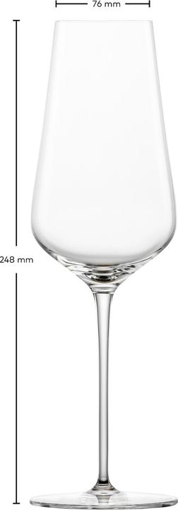 Actual product image Zwiesel Flûte à champagne Duo 77 2 pièces (38 cl, 2 Glasses, Champagne glasses)