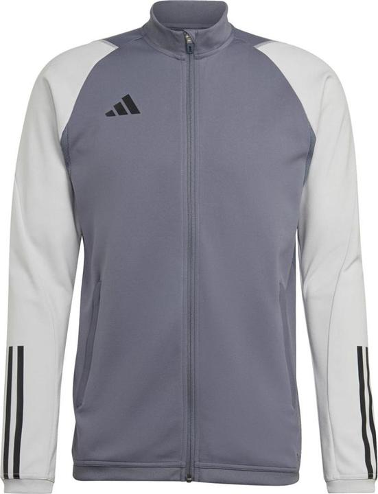 adidas Tiro 23 Competition Training Herren-Sweatshirt grau HP1908 (L) (L)