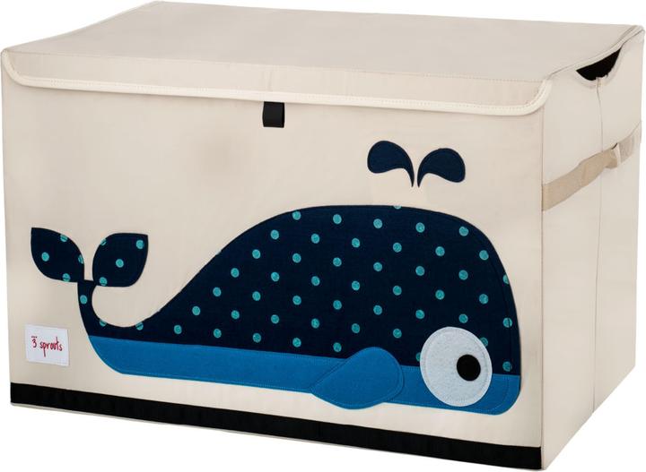 Cetaceo