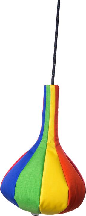 Actual product image Sport-Thieme Grape swing