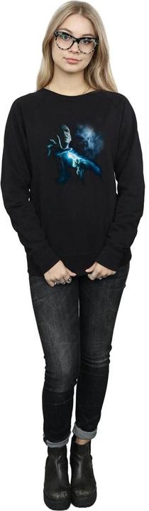 Produktbild Voldemort Shadow Sweatshirt (L)