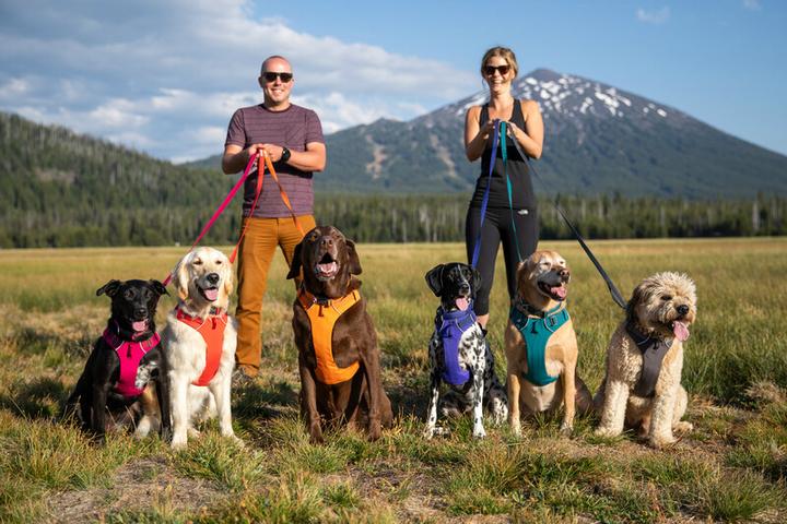 Image du produit Ruffwear Harnais pour chien Front Range (XXS, Chien, Général, Promenade)