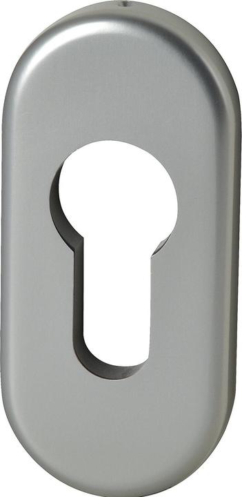 FSB Schlüsselrosette 17 1757 Aluminium 0105 PZ oval (Türgriff)