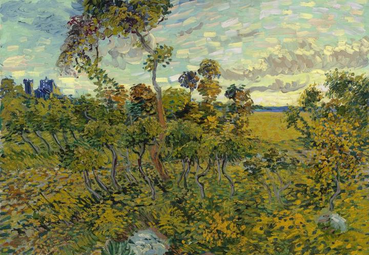 Actual product image Grafika Puzzle 1000 pieces Van Gogh Vincent - Coucher de Soleil à Montmajour (1000 pieces)