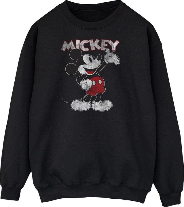 Produktbild Disney Presents Sweatshirt (XXL)