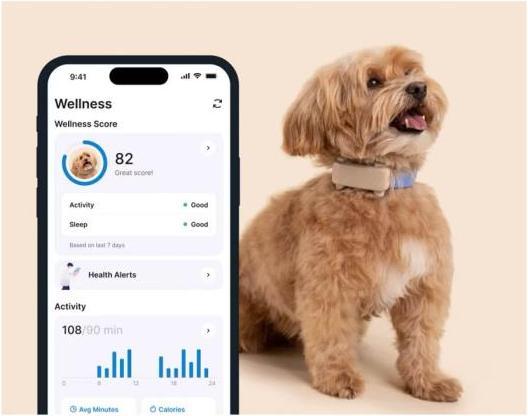 Produktbild Tractive GPS Tracker Dog 6 (Hund)