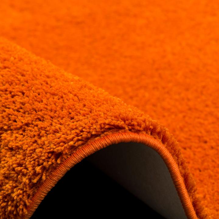 Image du produit Snapstyle Palais du tapis à poils longs (Ø 100 cm)