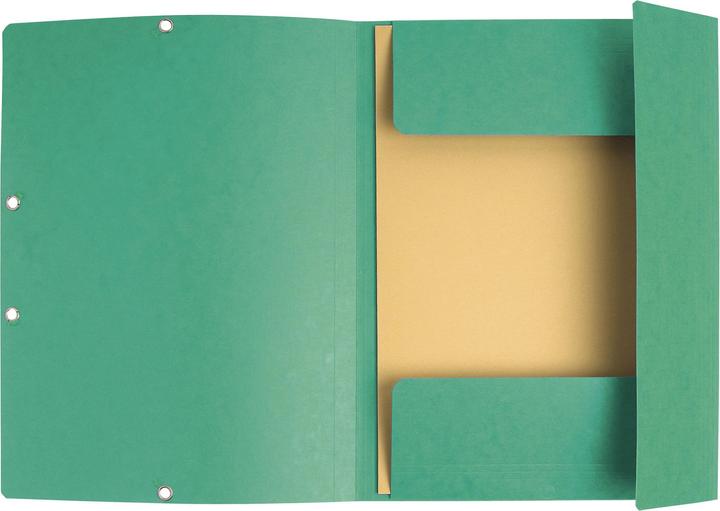 Actual product image Exacompta Folder (A4, 1 x)