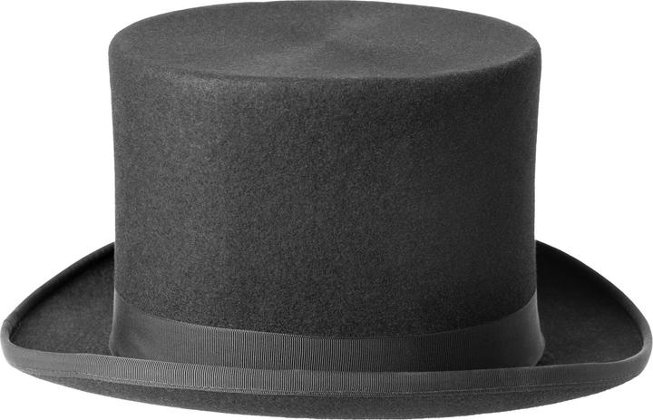 Actual product image Metamorph Haarfilz-Zylinder schwarz 15 cm