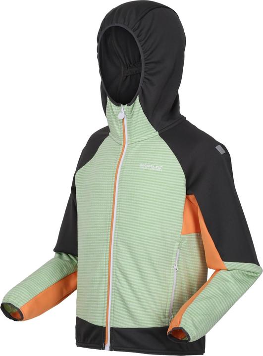 Image du produit Regatta - Veste softshell PRENTON - Enfant (104)