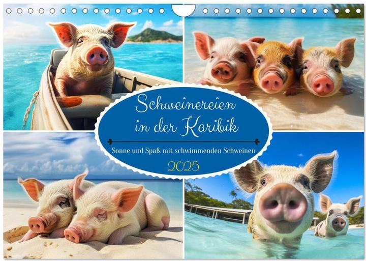 Actual product image Pigs in the Caribbean. Sun and spa with swimming pigs (Wall calendar 2025 DIN A (A4, No binding, German)