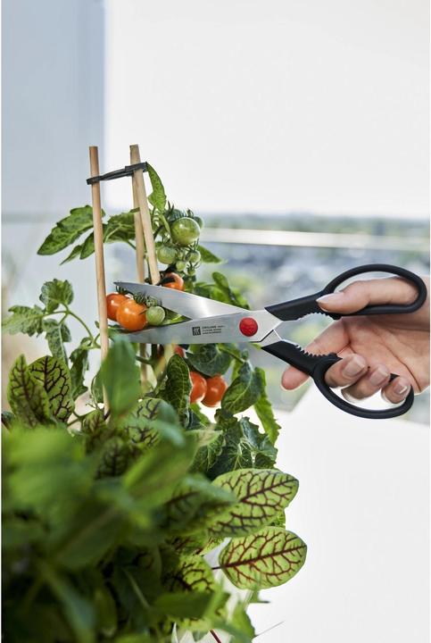 Produktbild Zwilling Twin L (23 cm)