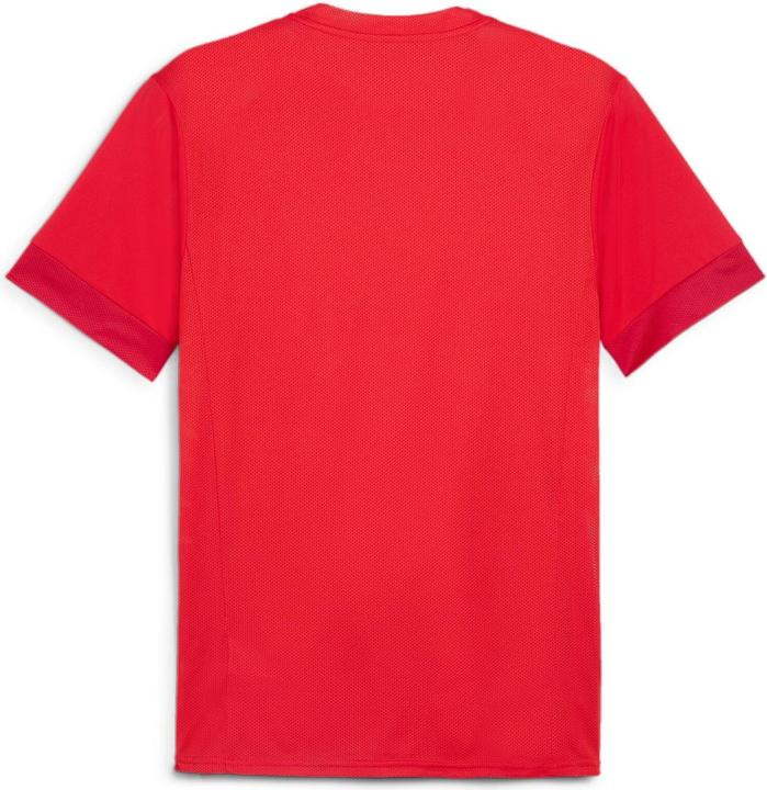 Actual product image Puma teamGOAL Matchday Jersey (S)
