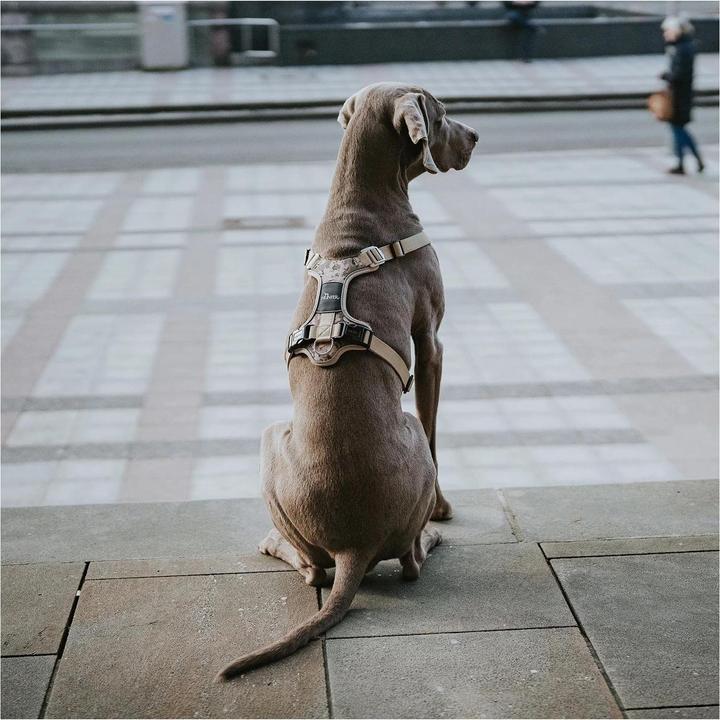 Image du produit Hunter Harnais Camouflage Divo pour chiens Beige L-XL (Chien, Général)