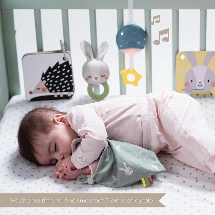 Actual product image Taf Toys Hello Baby