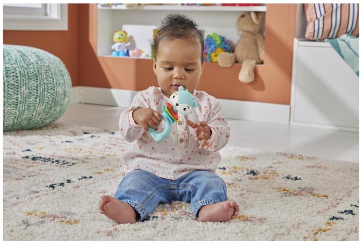 Actual product image Fisher-Price HKD68