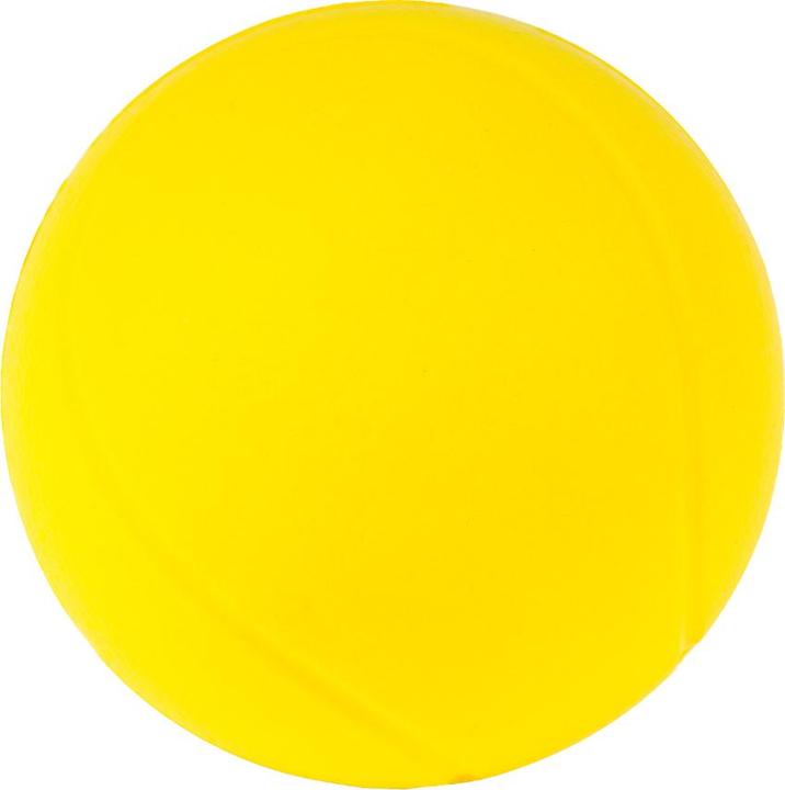 Image du produit Schildkröt Balle de remplacement pour le jeu de raquettes Street