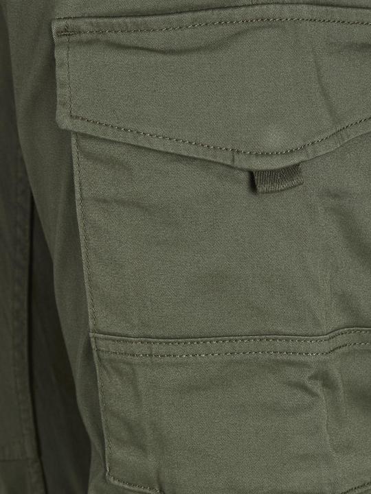 Actual product image Jack & Jones PAUL FLAKE AKM 542 cargo pants (W36/L34)