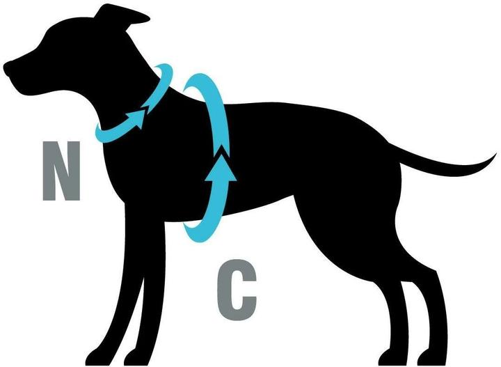 Actual product image Petlando Harness Y-Comfort Mesh, Anthracite (S, Dog, General)