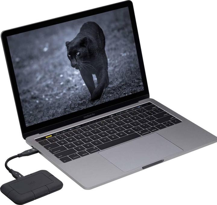 Productafbeelding LaCie Robuuste Pro (1000 GB)