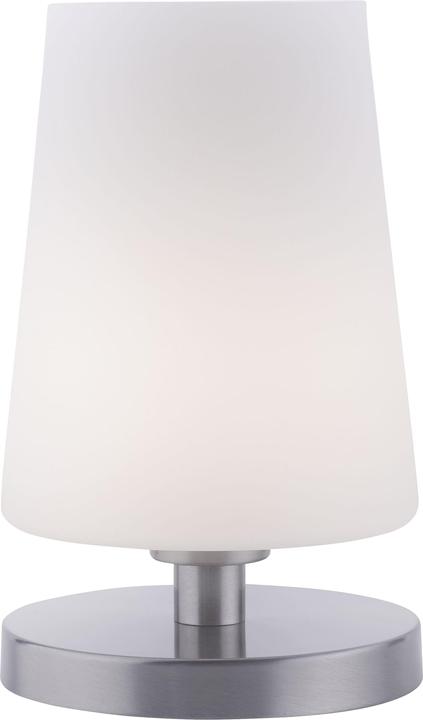 Paul Neuhaus steel LED table lamp 3000K 3W (245 lm, G9)