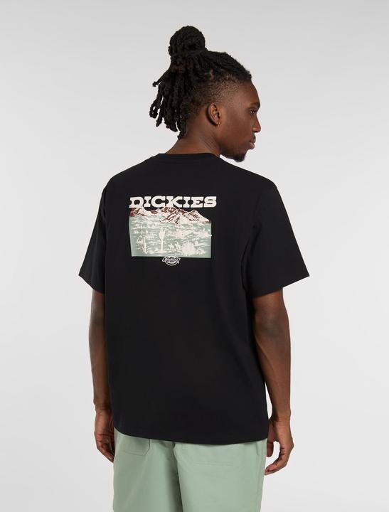 Immagine prodotto Dickies Landascape Ss Tee Black (XL)