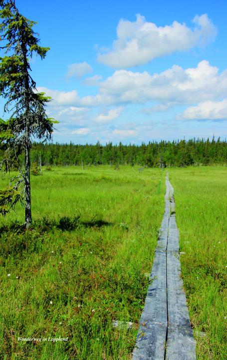 Produktbild Reiseführer Finnland