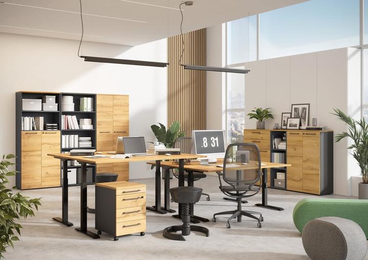 Immagine prodotto Germania Scrivania JET regolabile in altezza grandson in rovere rettangolare, telaio a T nero 160,0 (160 x 72 cm)