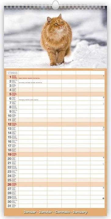 Image du produit Calendrier Chats 22 x 45 cm (22 x 45 cm)