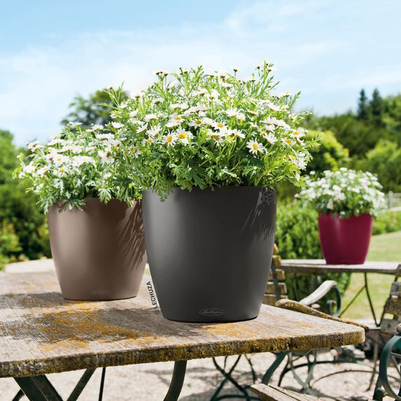 Produktbild Lechuza Classico 18 (19 cm)
