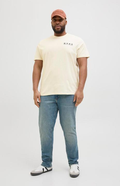Actual product image Jack & Jones Plus Size Rückenprint T-shirt T-shirt (4XL)