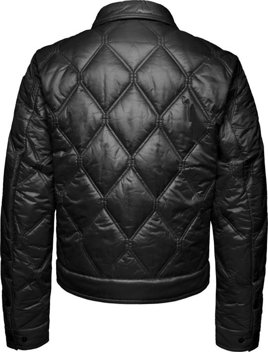 Bauer Delhi - 64735