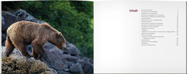 Produktbild Vom Grizzly zum Teddybär (Deutsch, Thomas Lange, 2024)