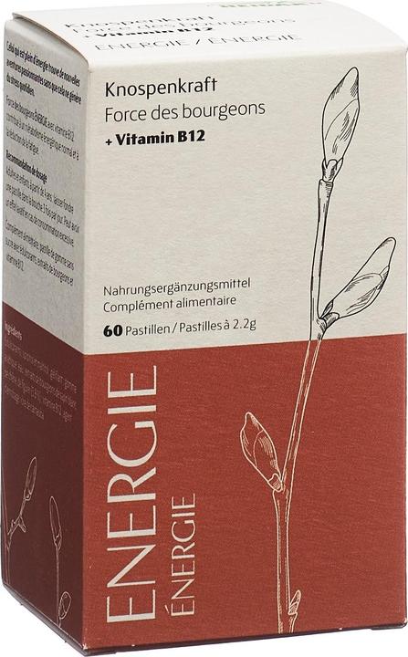 Produktbild Heidak Knospenkraft Pastillen Energie (60 Stück, Pastillen, 287 g)