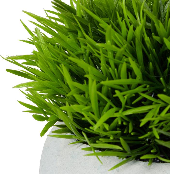 Actual product image Relaxdays 3x Artificial-Plants (12 cm)