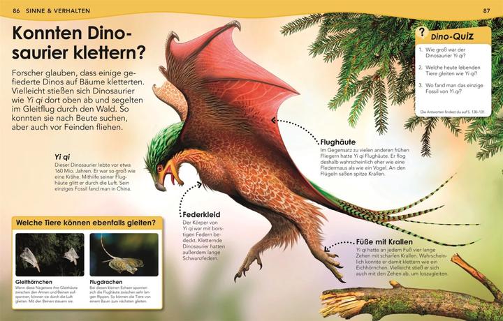 Image du produit Weshalb? Deshalb! Dinos (Allemand, Nicholas St Fleur, 2020)