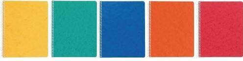 Actual product image Notebook Stab 4° 17,5x22,1 cm, 4 mm squared, with spiral binding, 48 sheets, ass. (A5, Checked)