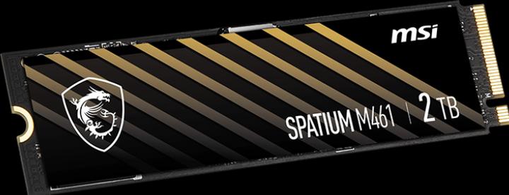 Actual product image MSI Spatium M461 (2000 GB, M.2 2280)
