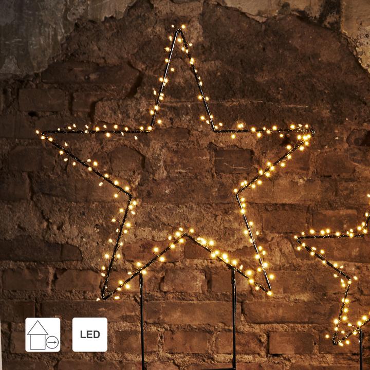 Actual product image Star Trading Barlumi