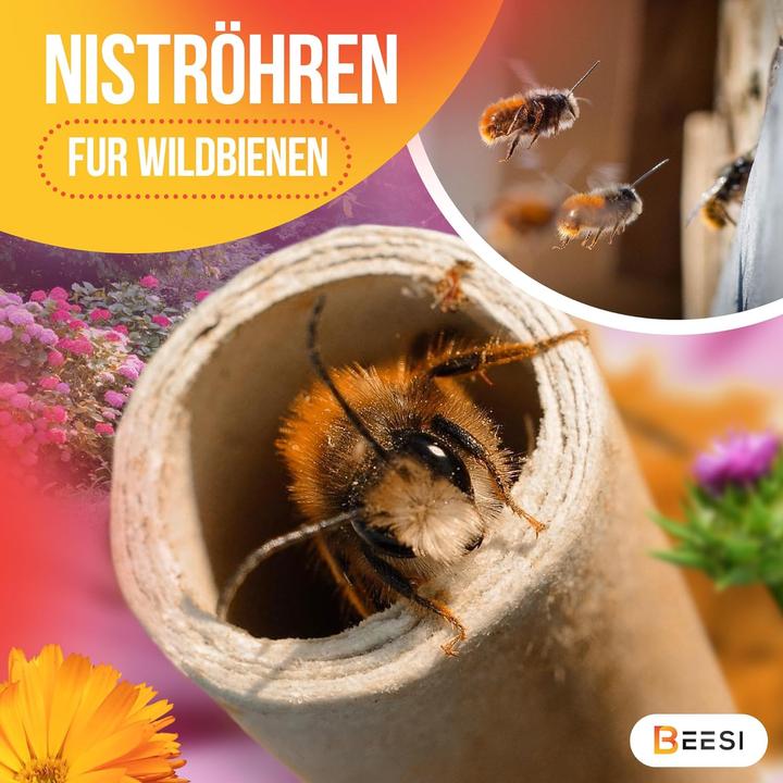 Produktbild Beesi Nisthülsen (Wildbienen)