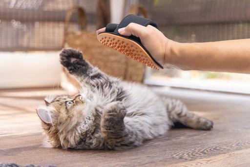 Image du produit Beeztees Pflegehandschuh (Chat)